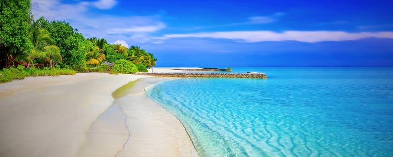 Exotic Island Adventures